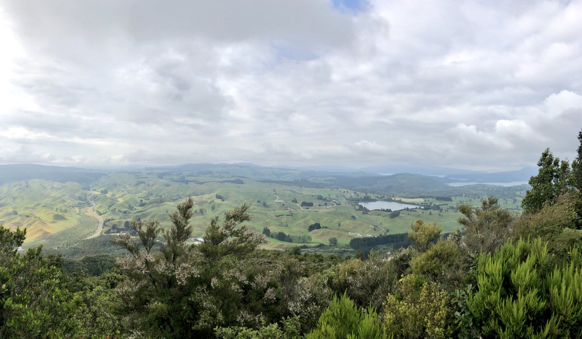 YugalSachdeva's tweet photo. #Rotorua #NewZealand #RedwoodForest #TreeWalkNZ #Trekking #GeoThermalWonder #TopPlacesToVisit #NYTimes https://t.co/eSV9H4DPCQ