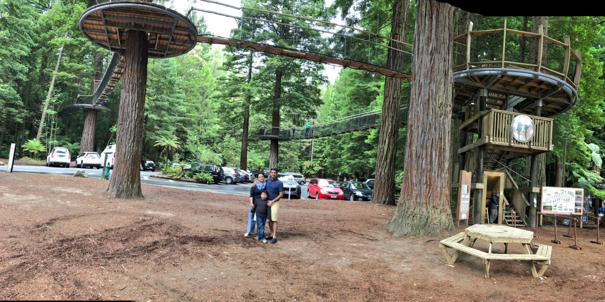 YugalSachdeva's tweet photo. #Rotorua #NewZealand #RedwoodForest #TreeWalkNZ #Trekking #GeoThermalWonder #TopPlacesToVisit #NYTimes https://t.co/eSV9H4DPCQ
