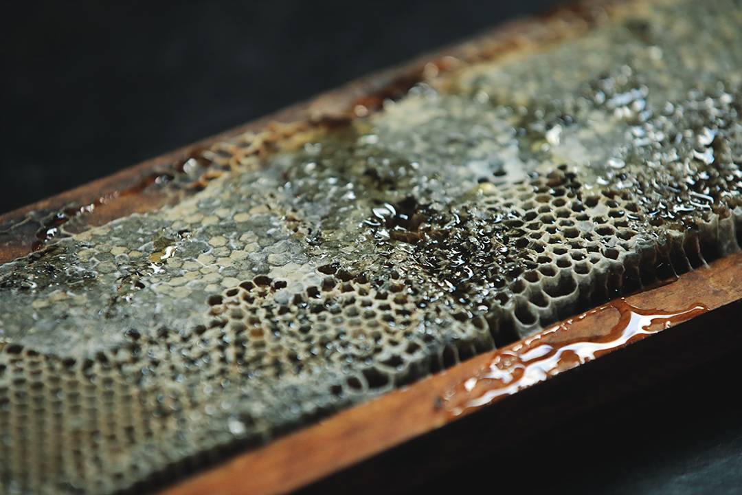 May honey fill our days!
#theshortmarketclub #foodie #food #restaurant #interior #justgoshoot #shortmarketclub #sonsofshortmarket #eatout  #yum #foodporn #capetownfoodie #capetown #picoftheday #honey #southafrica