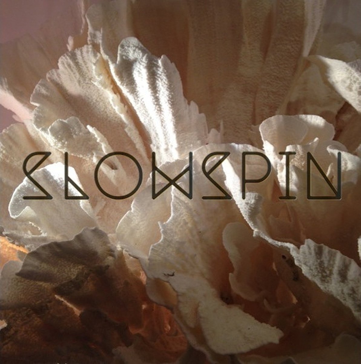 As 2017 came to a close, <a href="/dizzyzee/">Slowspin</a> aka Slowspin quietly dropped a stunning EP. Listen to it here: thewildcity.com/EN/news.xhtml/…