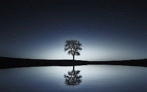 killz4sher's tweet image. API Life Cycle Basics: API Logging dlvr.it/Q9lzsd #integration #api #api_security #log_data #api_lifecycle #programming