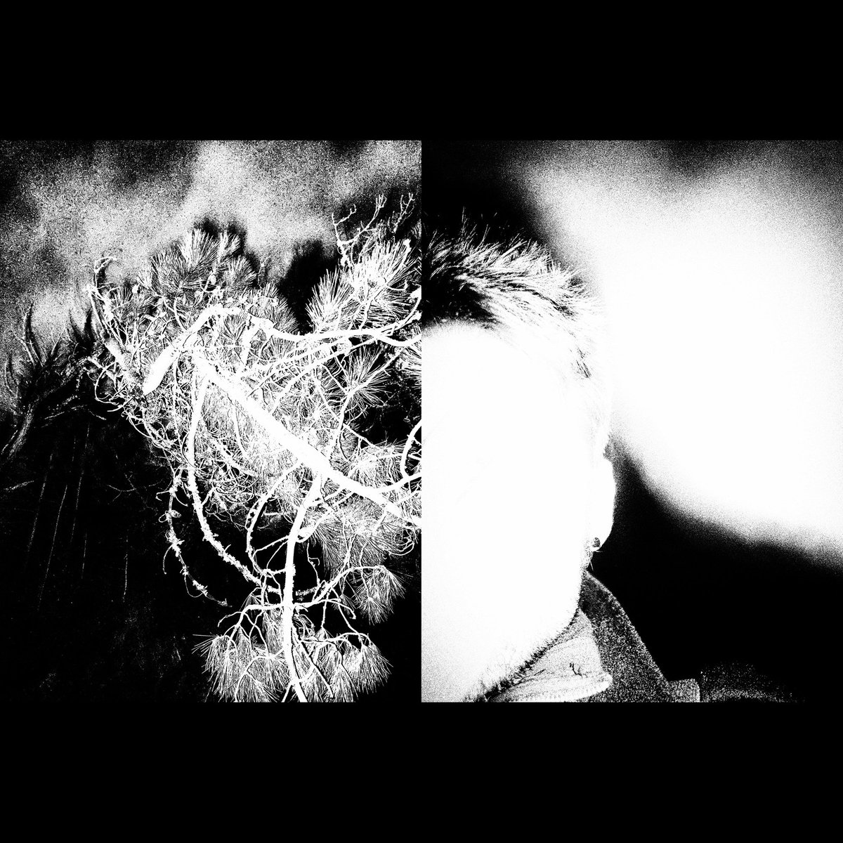 FabioMRoque's tweet photo. From "Desassossego" series; first chapter "Gravity". https://t.co/qcjJkl1fCd