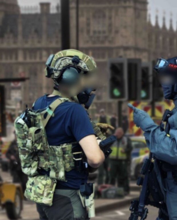 海外ユーザーの投稿で現代SAS装備と噂のJPCプレキャリを装備した隊員の