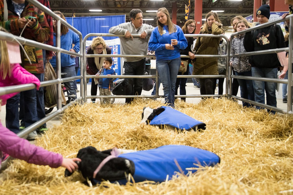 PaSenateDems's tweet photo. If you get the chance, check out the new Calving Corner at the 2018 Pa Farm Show.

@Senatorcosta got to meet the bouncy baby calves. #pfs18 https://t.co/0q5eftHtm3
