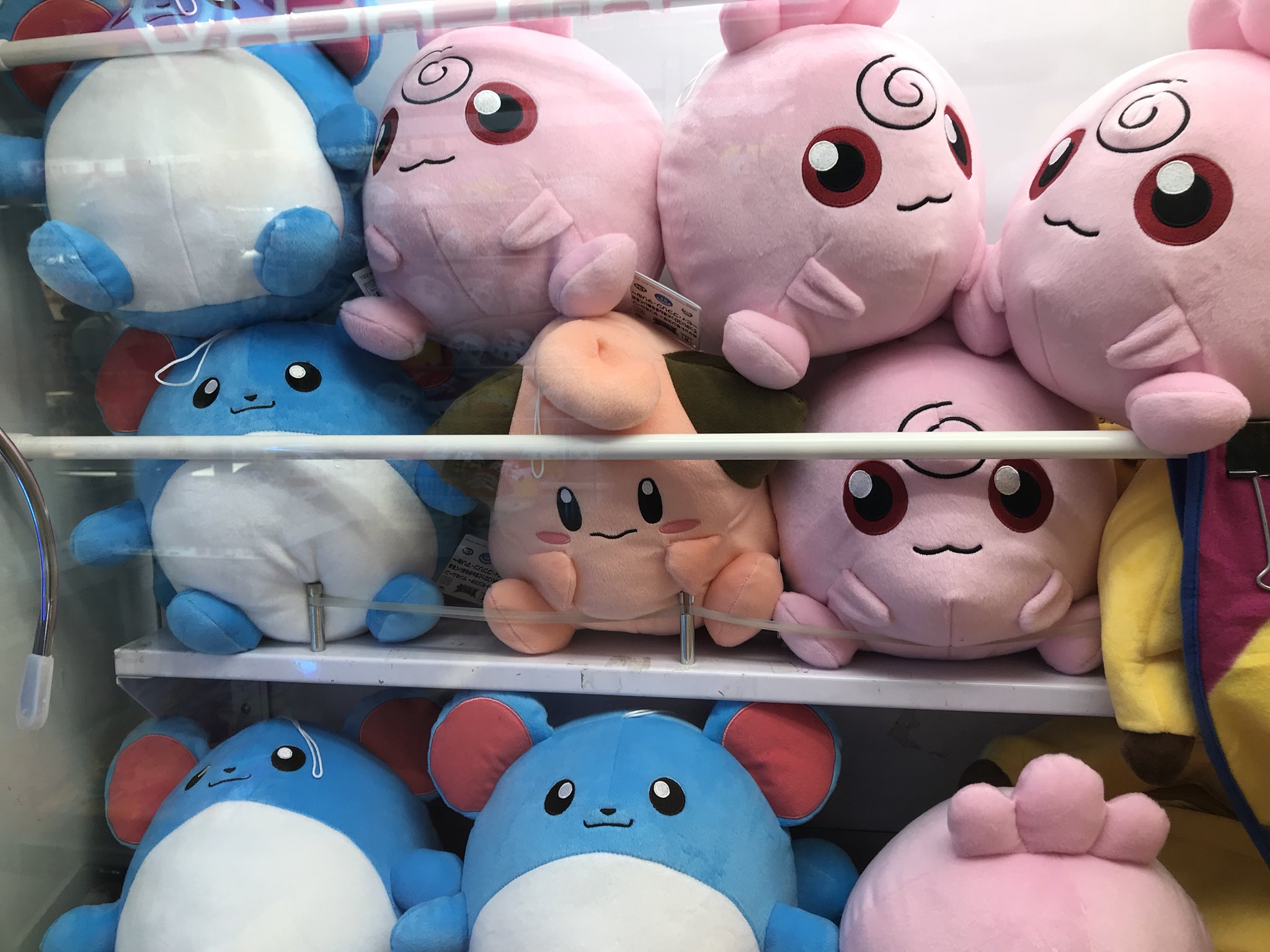 モナコ吉祥寺 Sur Twitter ポケットモンスター でっかいコロッとまんまるぬいぐるみ ピィ ププリン マリル 入荷しました ピィが1番人気です お早目のゲットをオススメします
