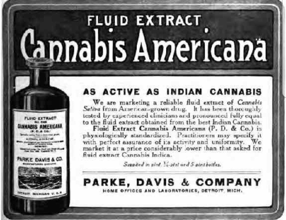 DrMesmer's tweet photo. "Take the Indian Hemp seed and sow it everywhere!" ~George Washington #CannabisAmericana is #MAGA it is God's greatest botanical gift & was used for almost everything > most of U.S. history. #Deschedule @POTUS #ItsUpToYou #ItsUpToMe #StoneColdLegal #USCC 4 #Justice @allidoisowen https://t.co/OmB61scYDn