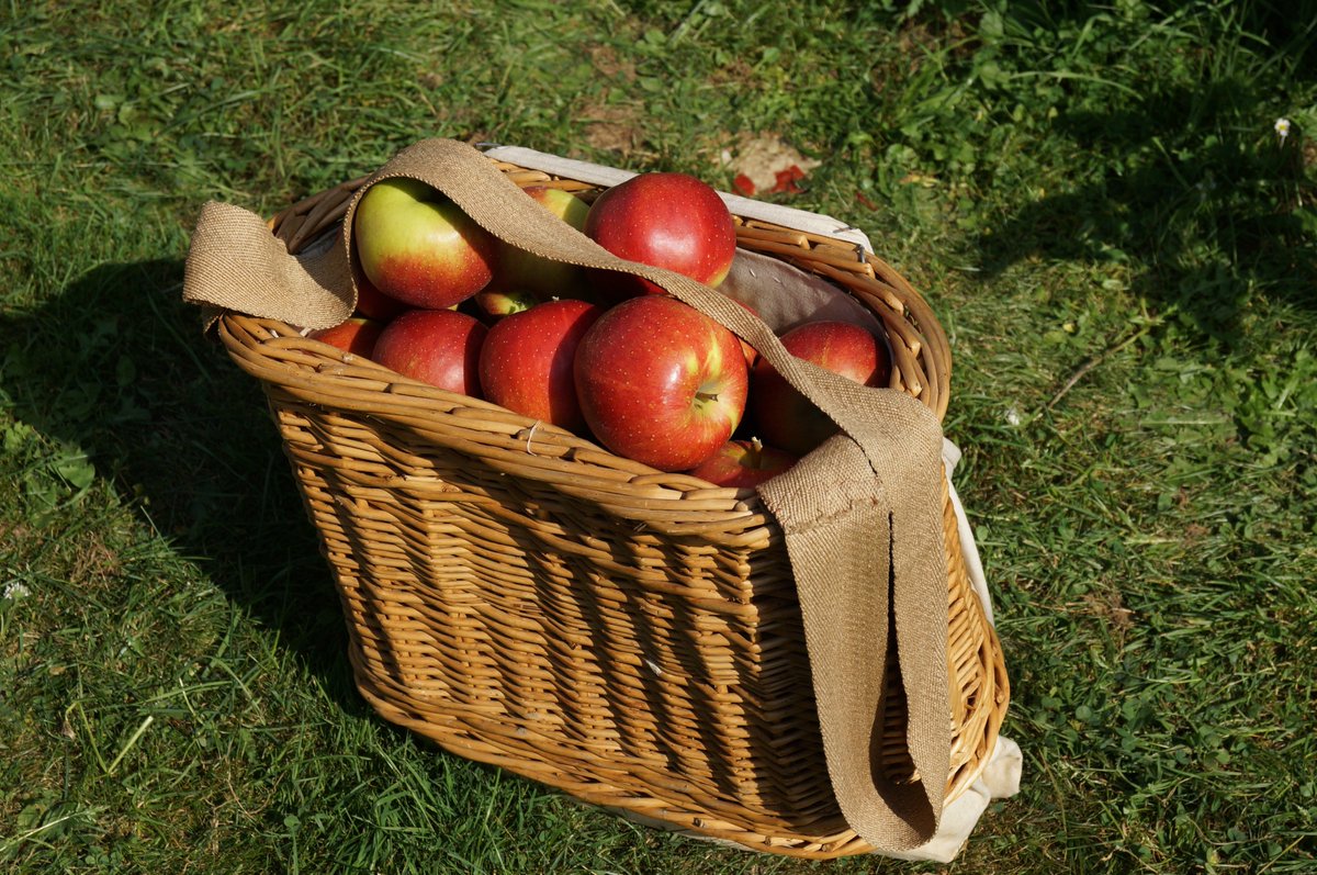 ObstausD's tweet image. Zum heutigen #TagdesApfels seid ihr gefragt: Wie viel Kilogramm #Äpfel verputzt jeder Deutsche im Schnitt pro Jahr?

Stimmt ab hier ab bit.ly/2qRpnut
und gewinnt eine schicke #Holzkiste gefüllt mit gesunden 🍎🍎🍎 von deinem #Obstbauern.

#ObstausDeutschland #Gewinnspiel