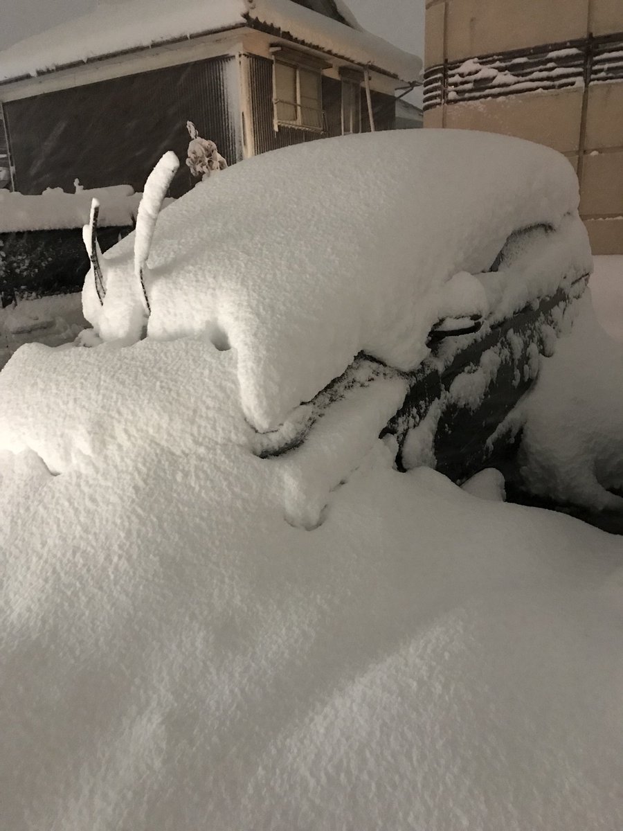 私の車がっっ😭
掘り出したら帰ります…