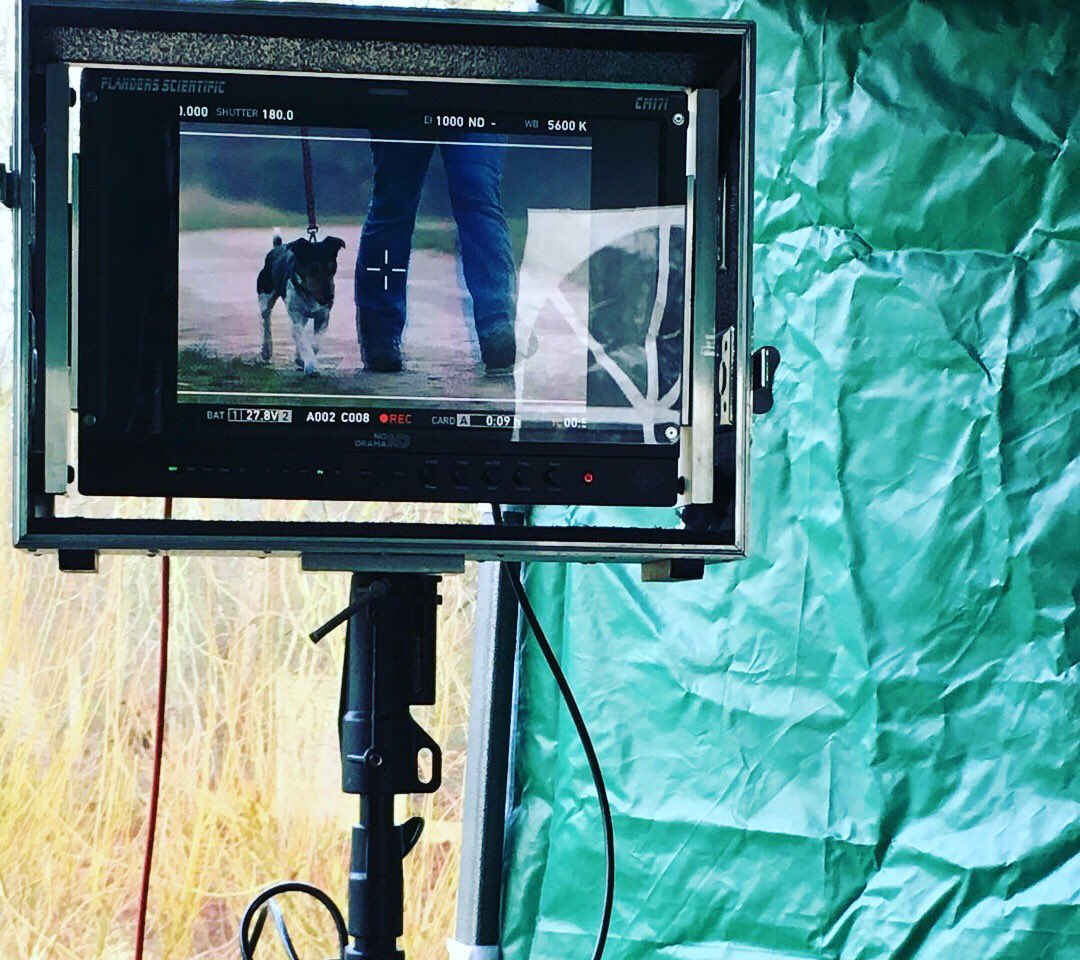 Nothing quite like a location shoot in the frost to get your blood pumping! Shooting doggies today for <a href="/PetfacePets/">Petface Pets</a> with <a href="/ChiefTV/">Chief.</a> 🐶🎾❄️
#film #photography #BTS #pets #dogs #shoot #photoshoot #location #creativedirection #manchester #agency #goodthings