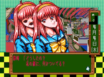 画像 / Picture