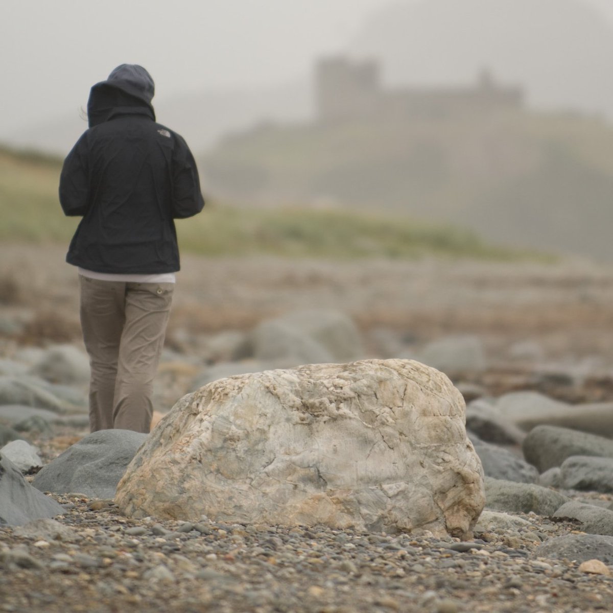 You still have a month left to apply for our Poetry Masterclass with #GillianClarke and #CarolAnnDuffy. For further information, please visit: tynewydd.wales/course/spring-…