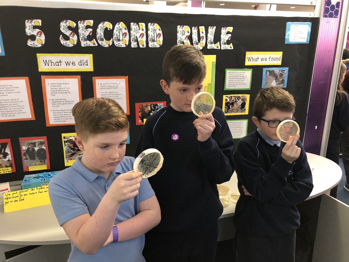 Will Goodbody tweet media