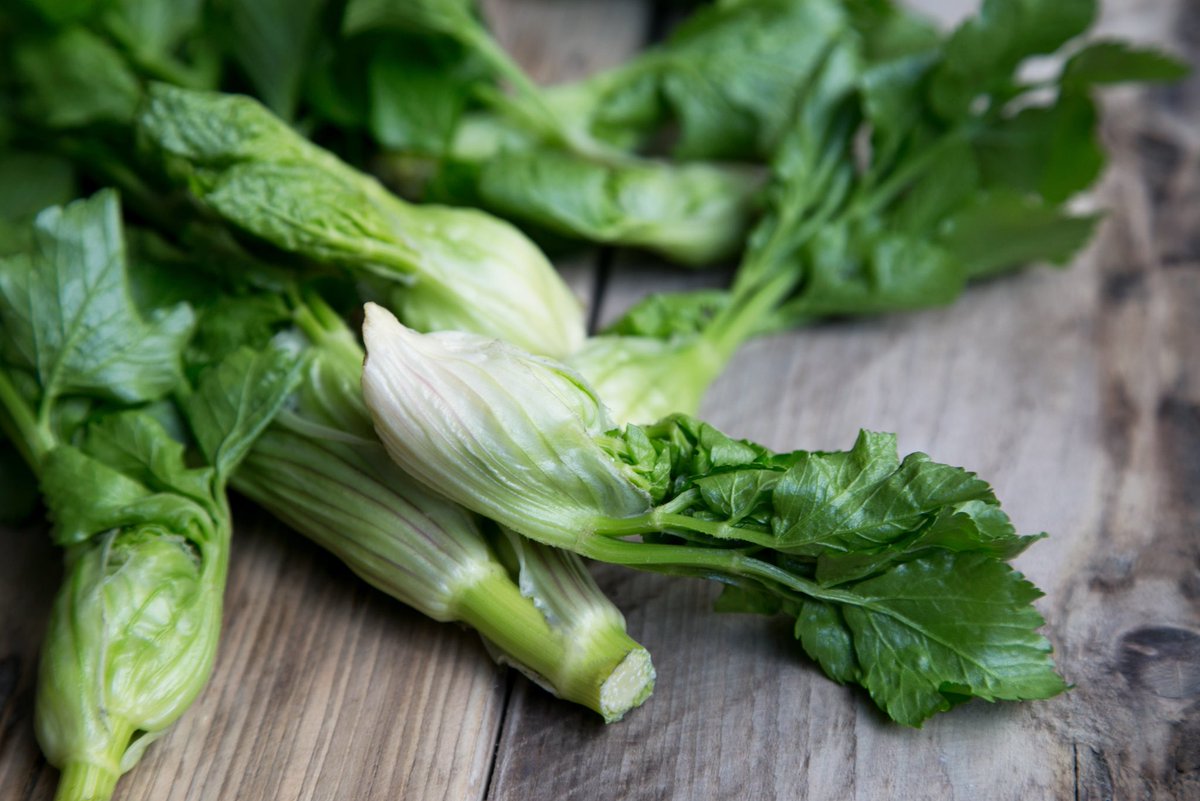 Buddy buddy buddy. These Alexanders Buds are even tastier than they look. New year, new season, same reasons 💚