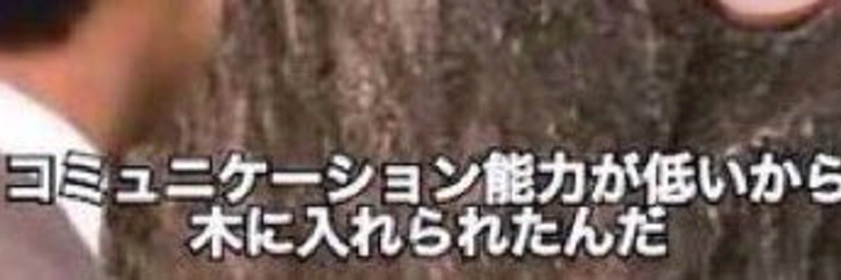 コミュニケーション能力が低いから木に入れられたんだ 트위터 검색