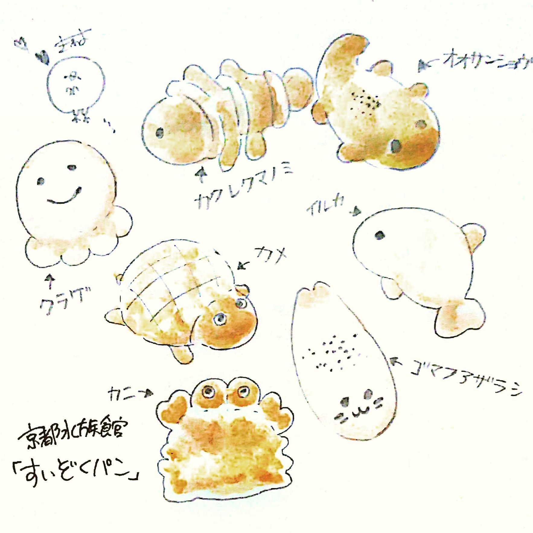 てんみやきよ A Twitter 京都水族館 すいぞくパン 写真を見ただけでわくわくしちゃうパン T Co Cparw7gxrx Twitter