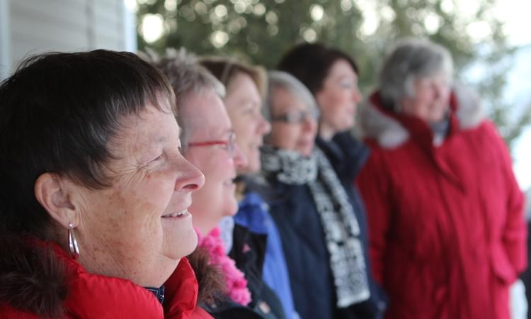 sjtimesglobe's tweet photo. A Saint John dragon boat team brings breast cancer survivors exercise, therapy and community: https://t.co/Hjb9gySY38 https://t.co/zi8FW8IGuh