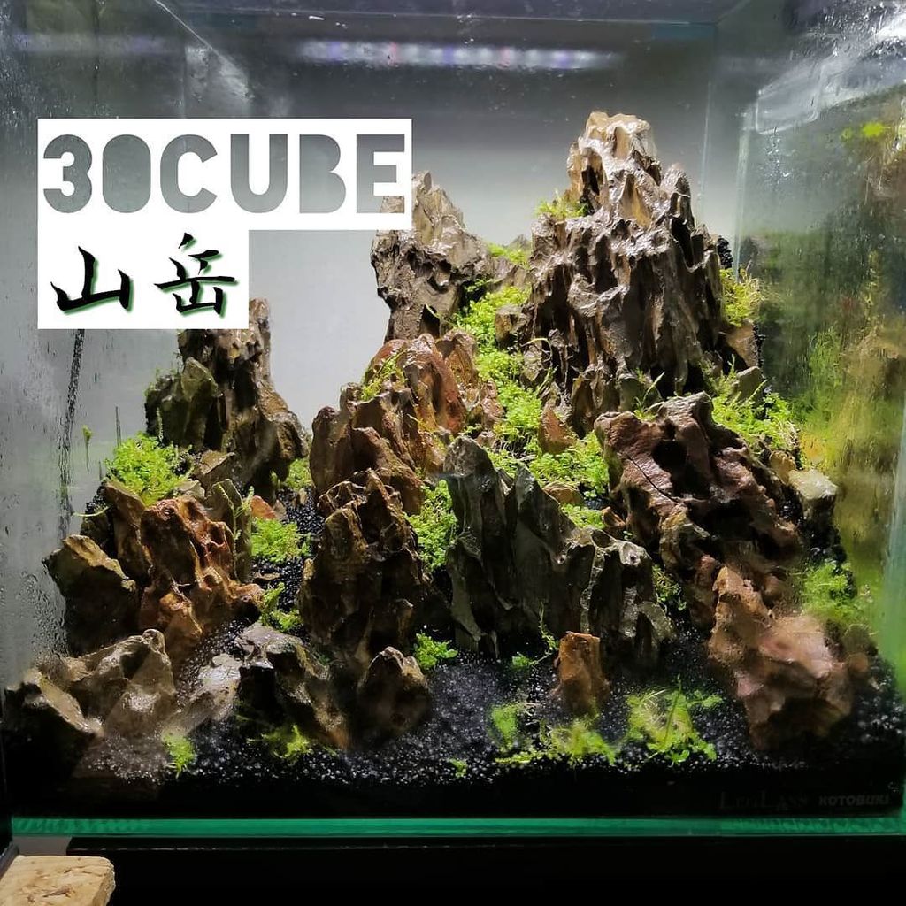 Ruuaqua るー T Co 2raviyiqp3 山岳レイアウト ミスト式で立ち上げました アクアリウム 水草水槽 気孔石 ニューラージパールグラス T Co Mi7qmyzlvy