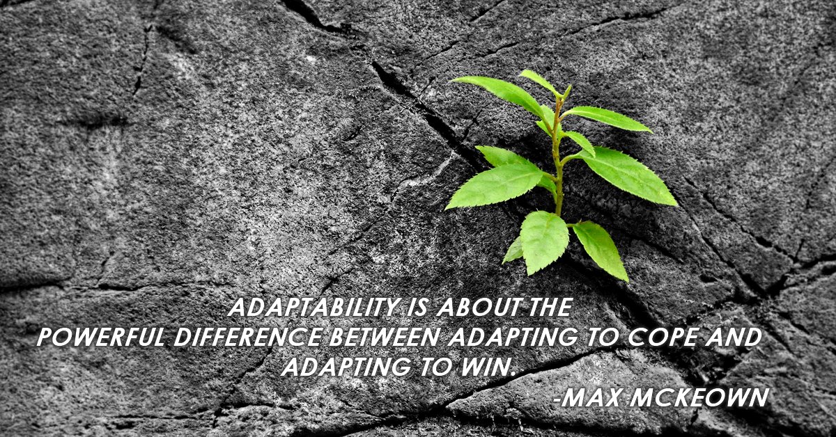 CGA Management tweet media