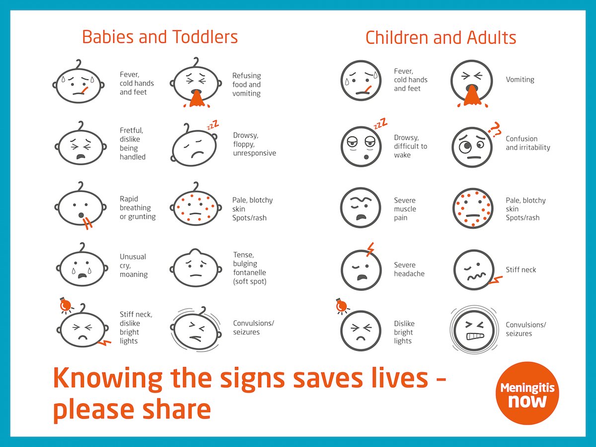 MeningitisNow's tweet photo. Do all your loved ones know the signs &amp; symptoms?💛 Meningitis can affect anyone  and recognising it early can save a life. Share this post &amp; order some free wallet sized cards today to hand out to your friends &amp; family:
https://t.co/CTiqlQb03n https://t.co/uGdV7CqQGh