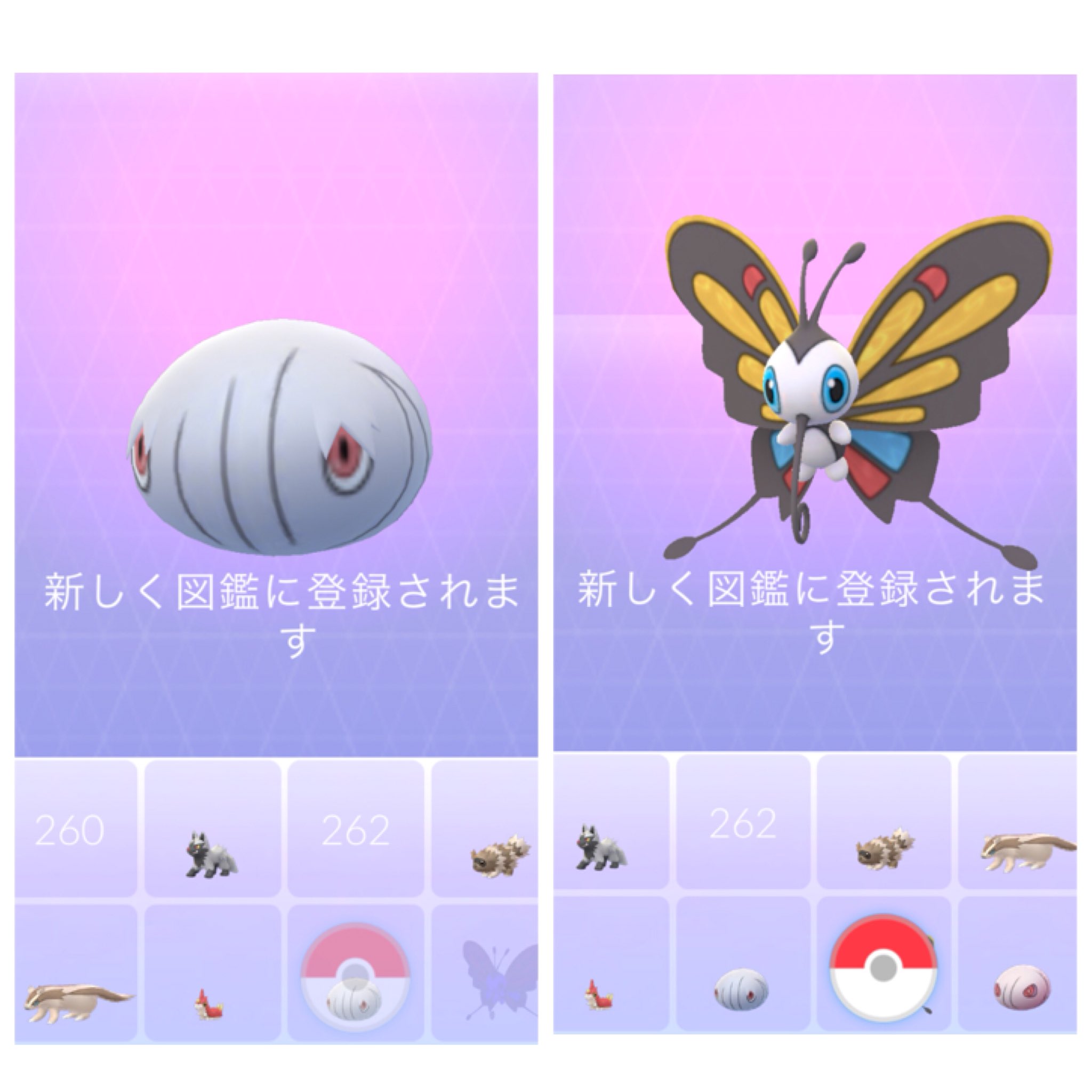 Tokimo P Go 超マイペース ケムッソを進化させても マユルドばかり いつも進化マラソンを 夜やっているので 朝イチなら と思い 進化させてみたら カラサリスになった 偶然だとは思うけど で 今日の進化入りさん カラサリス アゲハント