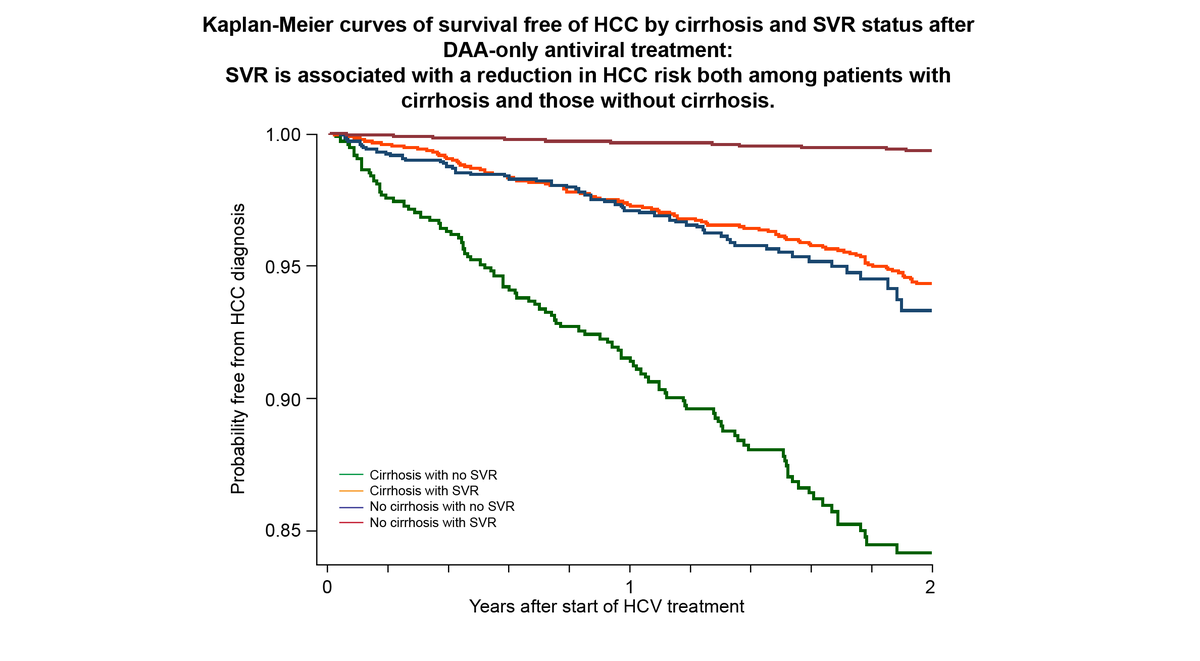 #HCV #eradication induced by direct-acting #antiviral agents reduces the risk of #hepatocellular #carcinoma

bit.ly/2f2CqB6
#HepC #hepatitisC #cancer #livercancer #DAA