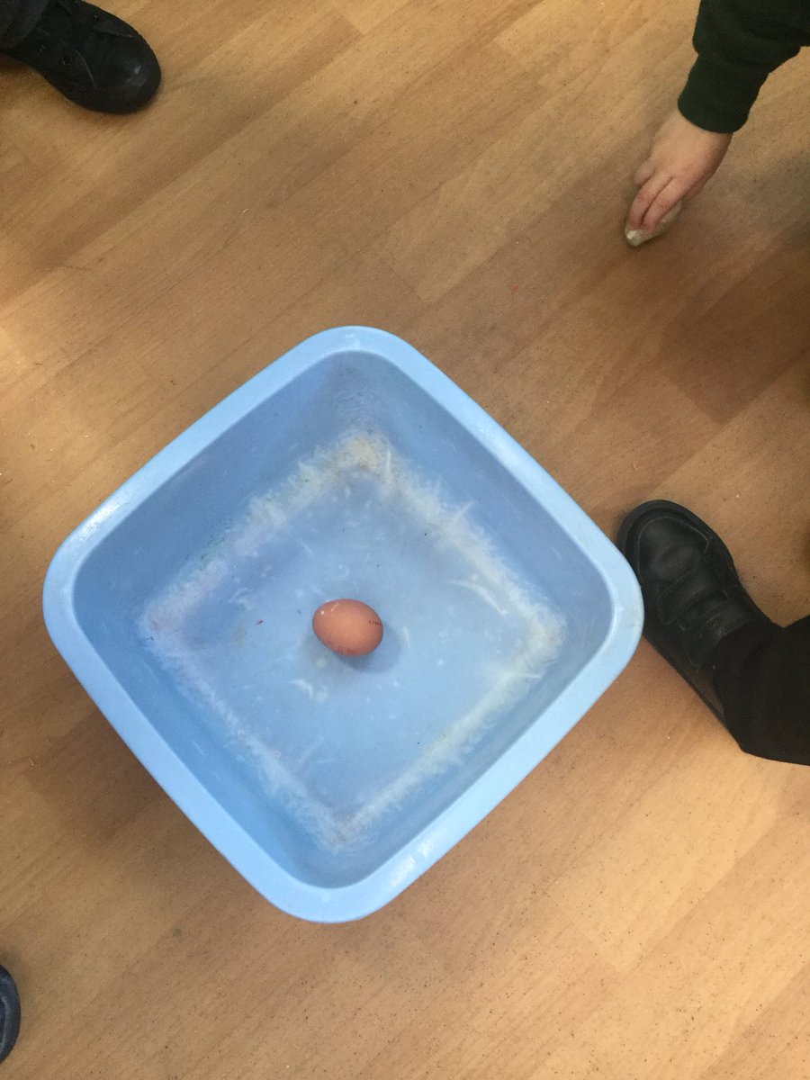 R_CheddarGrove's tweet photo. Reception enjoyed testing their prediction that heavier items, such as a stone, will break an egg on impact, whilst lighter items will not. https://t.co/5oafsnPiYO