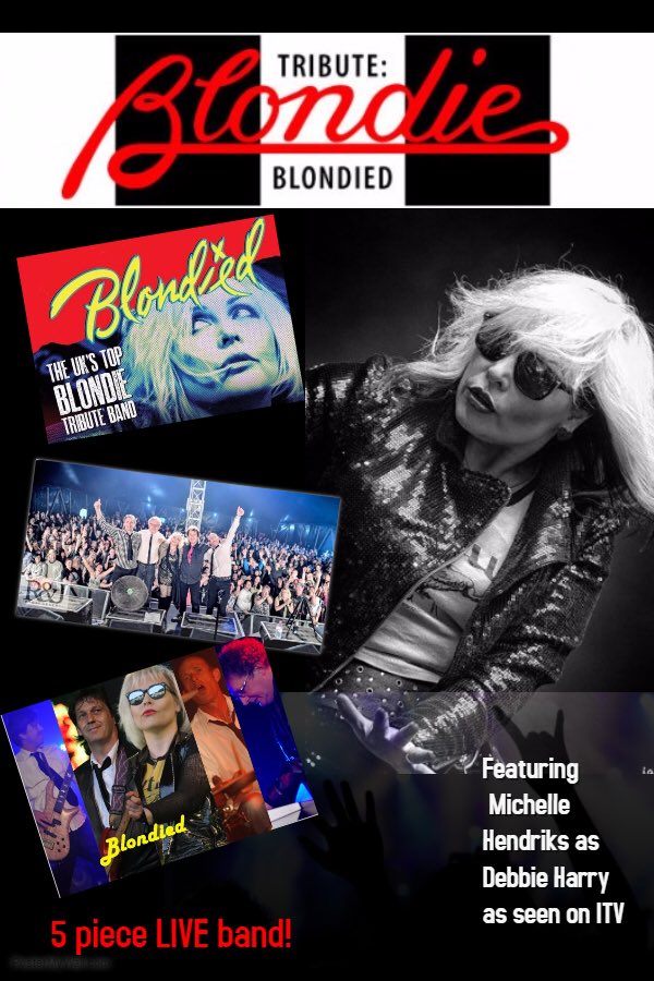 Blondied (@blondiemichelle) on Twitter photo 