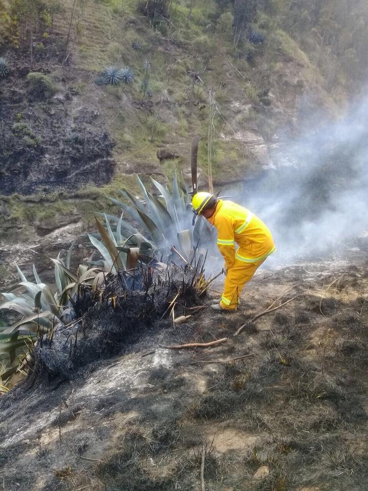 Combatimos incendios forestales, trabajamos 24/7.
Más Información: bit.ly/2D4nAqX