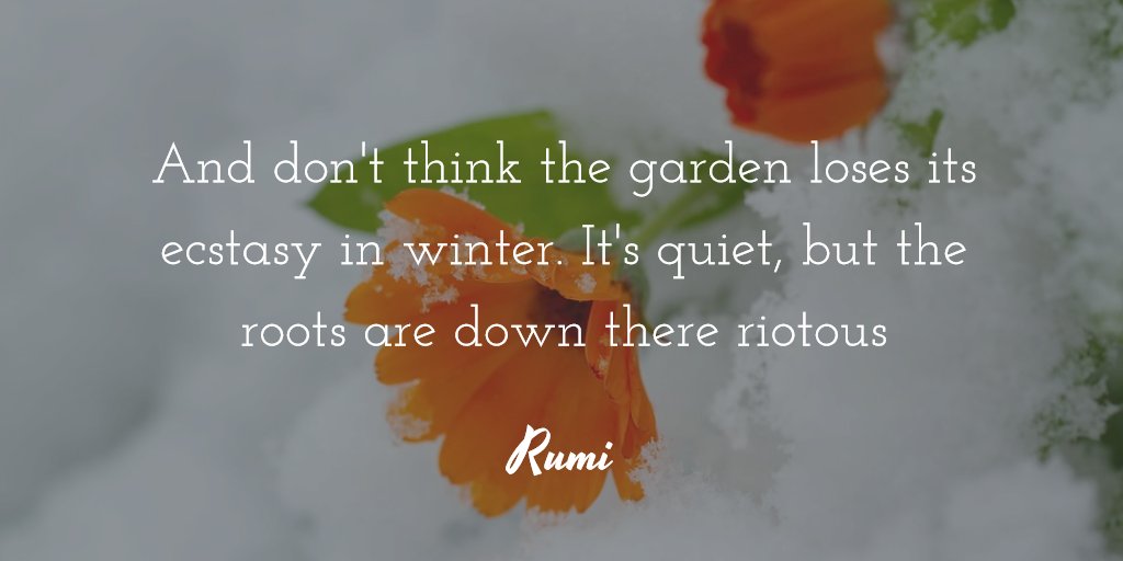 FredJaicks's tweet photo. 68 days until #spring! https://t.co/NrX56bsOBc
