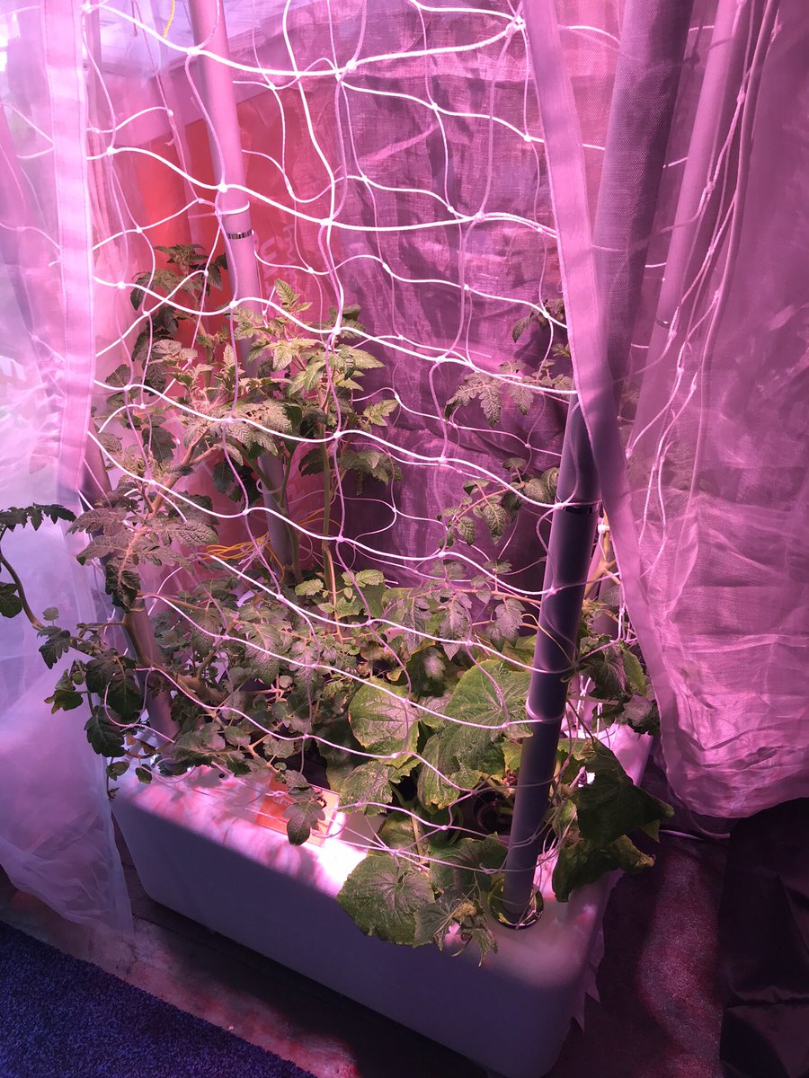 tech_chi's tweet image. #growtent for Tomatoes 🍅 or other things #ces2018 #techforthehome