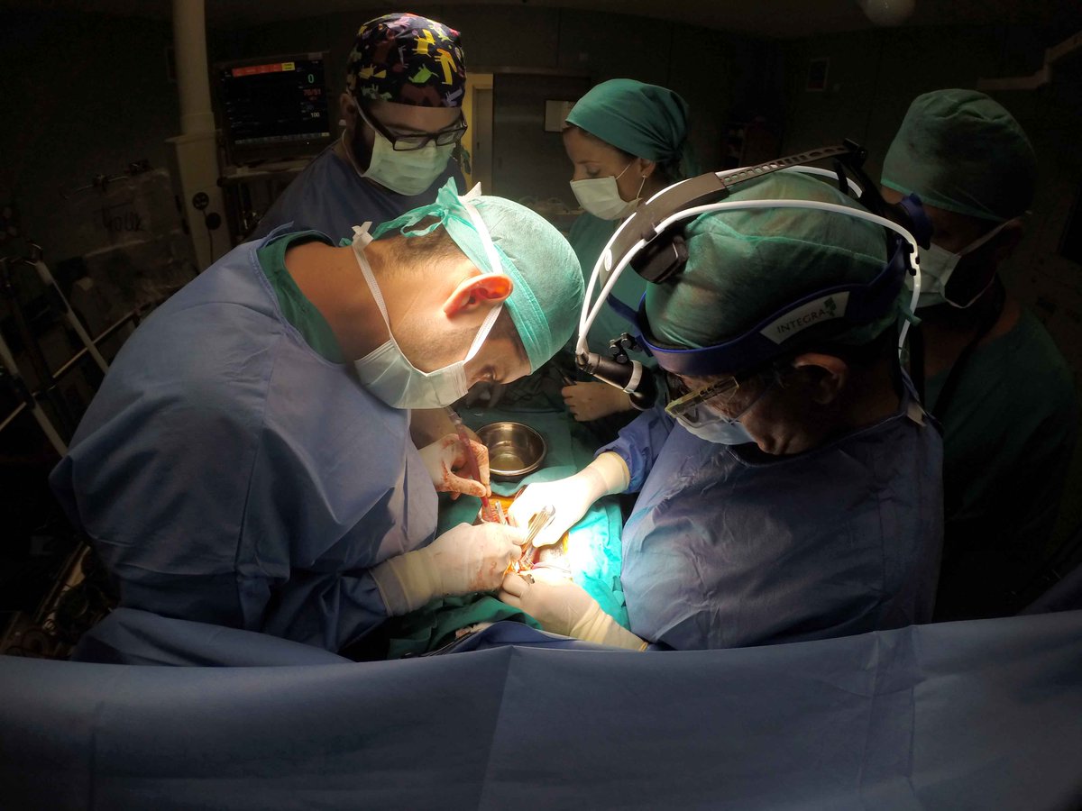 HospitalLaFe (@hospitallafe) on Twitter photo El <a href="/HospitalLaFe/">HospitalLaFe</a> es líder de trasplantes en toda España. También ha sido el centro que más trasplantes de #hígado y #corazón ha realizado en toda España y ha batido su propio récord en #riñón bit.ly/2ExnXHP #Gracias a las familias y donantes por su generosidad El <a href="/HospitalLaFe/">HospitalLaFe</a> es líder de trasplantes en toda España. También ha sido el centro que más trasplantes de #hígado y #corazón ha realizado en toda España y ha batido su propio récord en #riñón bit.ly/2ExnXHP #Gracias a las familias y donantes por su generosidad