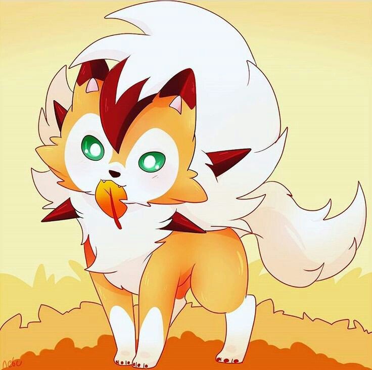 DeltaMichaelis's tweet photo. Hey guys timid lycanroc here and I want to know what you think my next youtube video should be https://t.co/NMlyTSN9SE