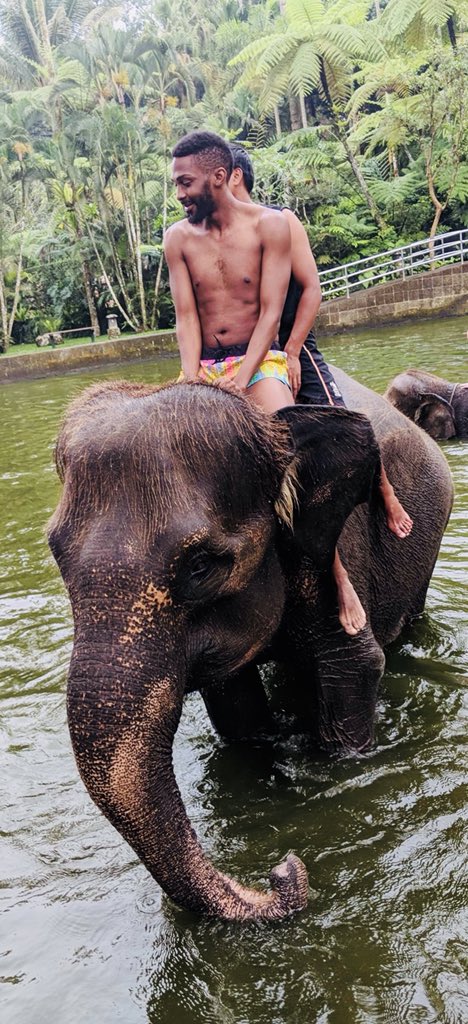 twittterlessDom's tweet photo. Missing Bali a little extra today!! 🐘🌴 https://t.co/aBPAmKhcqr