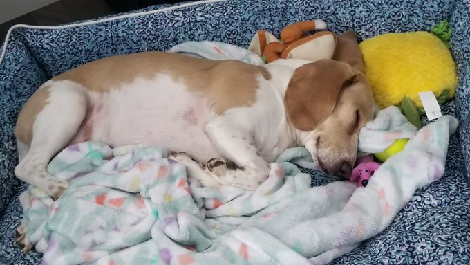 Watch Cody's leaked NSFW photo on TwXstars