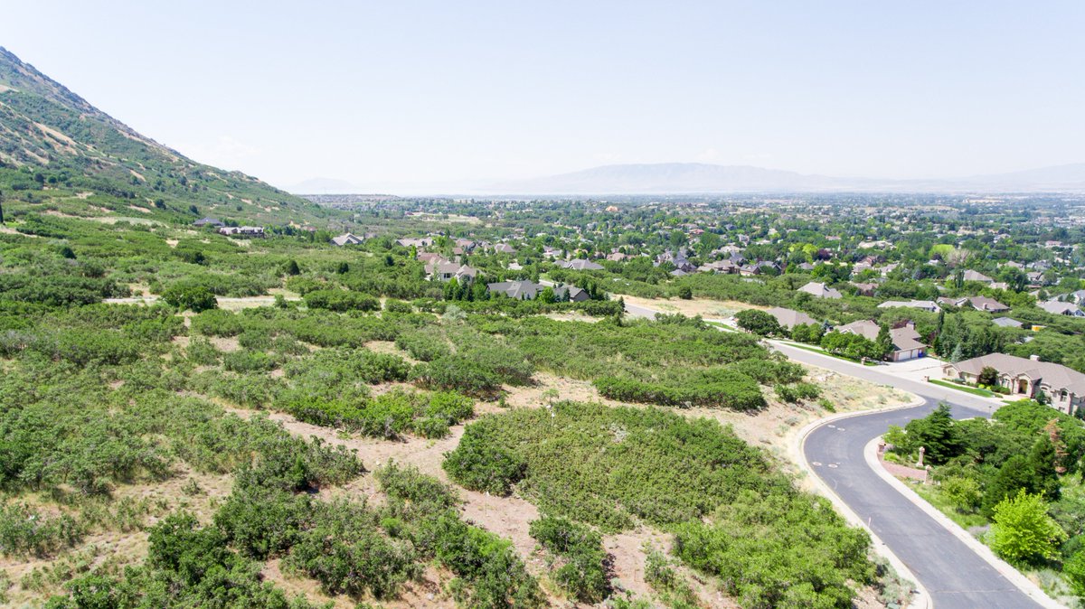 Woodley Real Estate (woodleyreal) Twitter