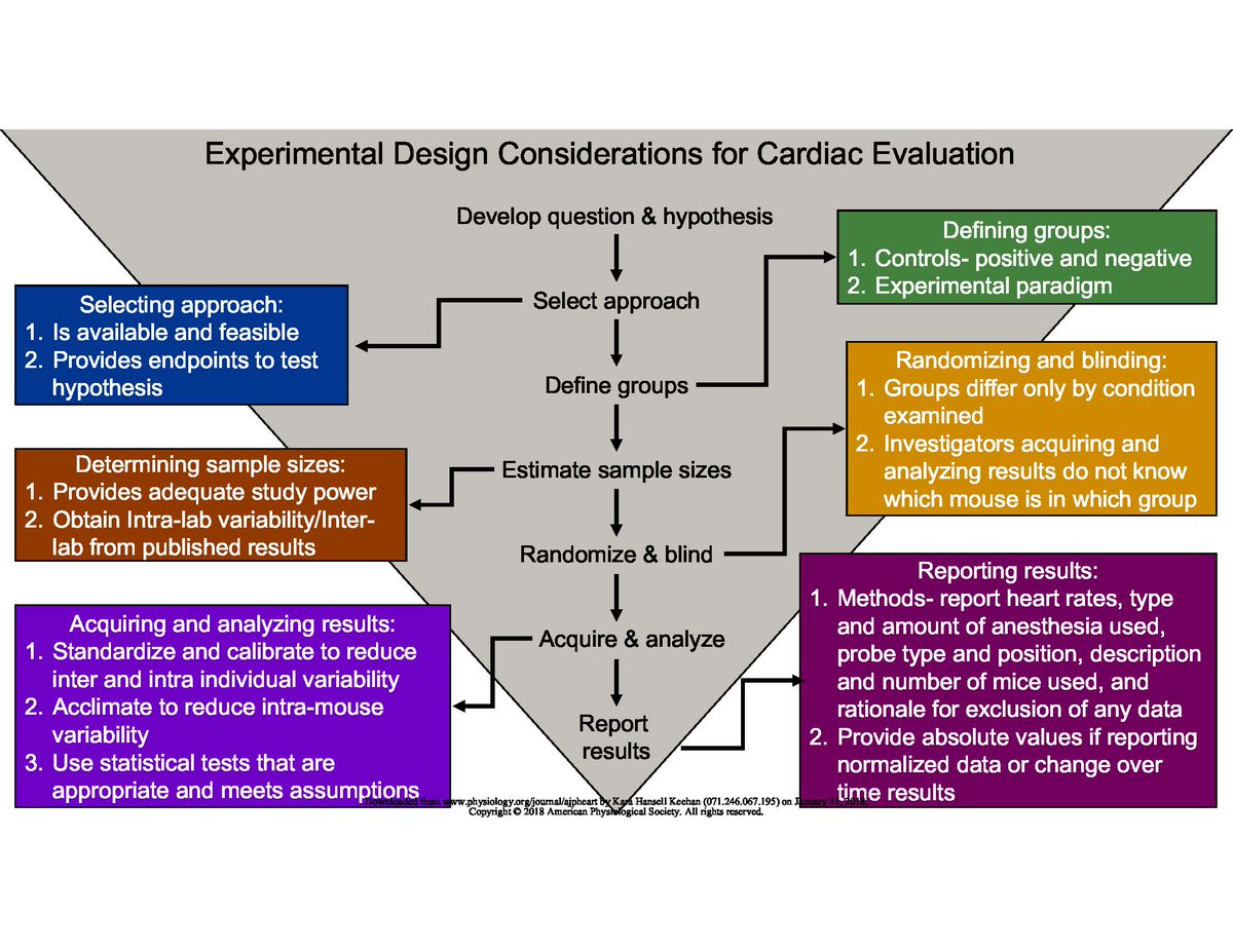 ajpheartcirc's tweet photo. January calls for a fresh start...and a fresh look at Guidelines in Cardiovascular Research! Just published in Articles in Press: Guidelines for Measuring Cardiac Physiology in Mice https://t.co/J9w3lIuZo2 https://t.co/gJjWO9UoQv