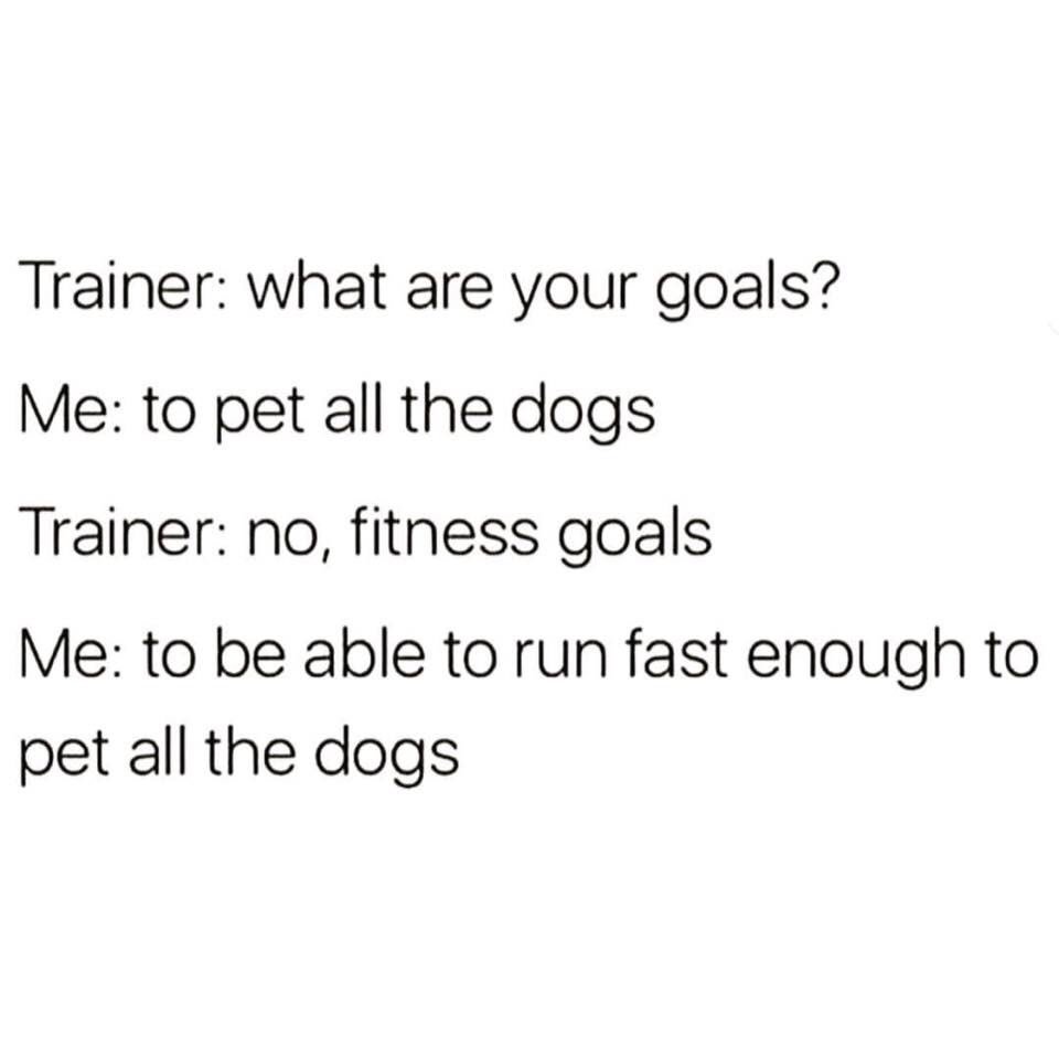 4pointshealth's tweet photo. If you are waiting for a sign, this is it. 🐶 #FitnessGoals #YegFit https://t.co/lej2PSIWe4