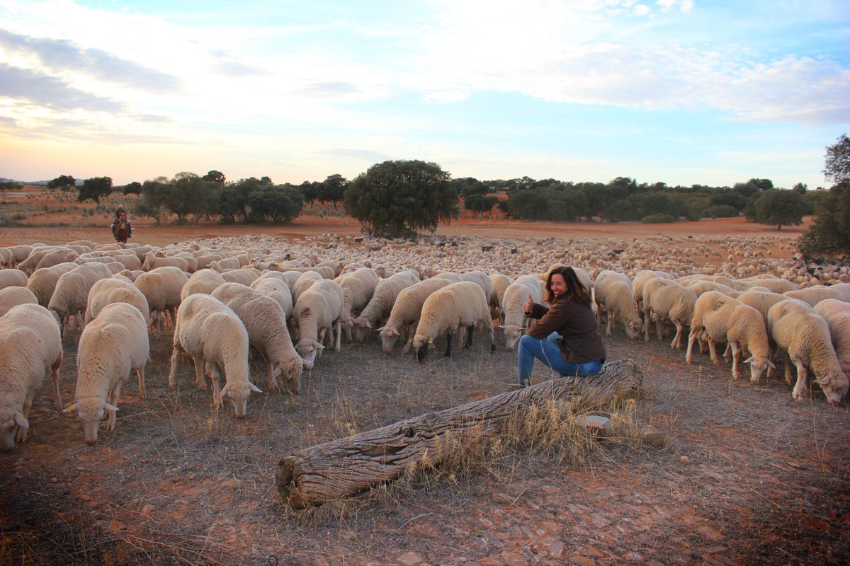 Este sábado en <a href="/CMM_es/">Castilla-La Mancha Media</a> te llevamos a vivir la <a href="/Trashumancia/">Trashumancia</a>. ¿Te vienes? Pues la salida está prevista a las 21,00