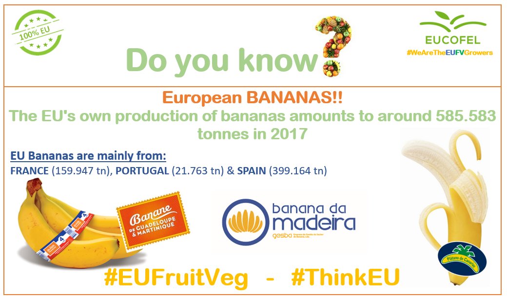 Doyouknow_EUFV's tweet photo. @Doyouknow_EUFV:  Media campaign to boost EU #Fruit &amp; #Vegetable consumption!! 
Do you know? European BANANAS!! 
The EU's own production of bananas amounts to around 585.583 tonnes in 2017
@LaBananeDurable, @platanosiempre ,@ASPROCAN, #GESBA

#EUFruitVeg &amp; #ThinkEU https://t.co/bWPHYq3LPY
