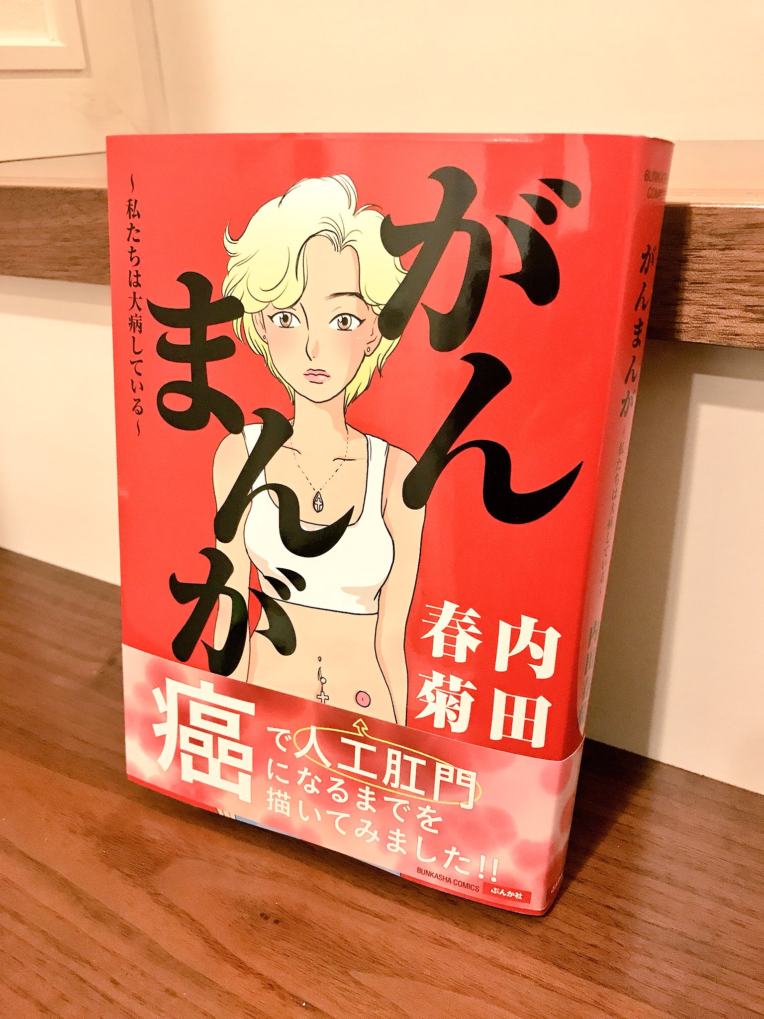 松尾 貴史 ご無沙汰しているなぁと思っていた内田春菊さんから 新作が届いた がんまんが 私たちは大病している ぶんか社 刊 パラリと巡り始めたらこれは衝撃でした でも やはりしなやかな人です T Co Dluuqv7rjx Twitter