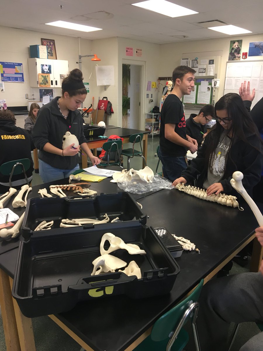MalobabicKim's tweet photo. Using every minute of forensics! #sherlockbones #forensicsrocks https://t.co/P3KsHBPvv1