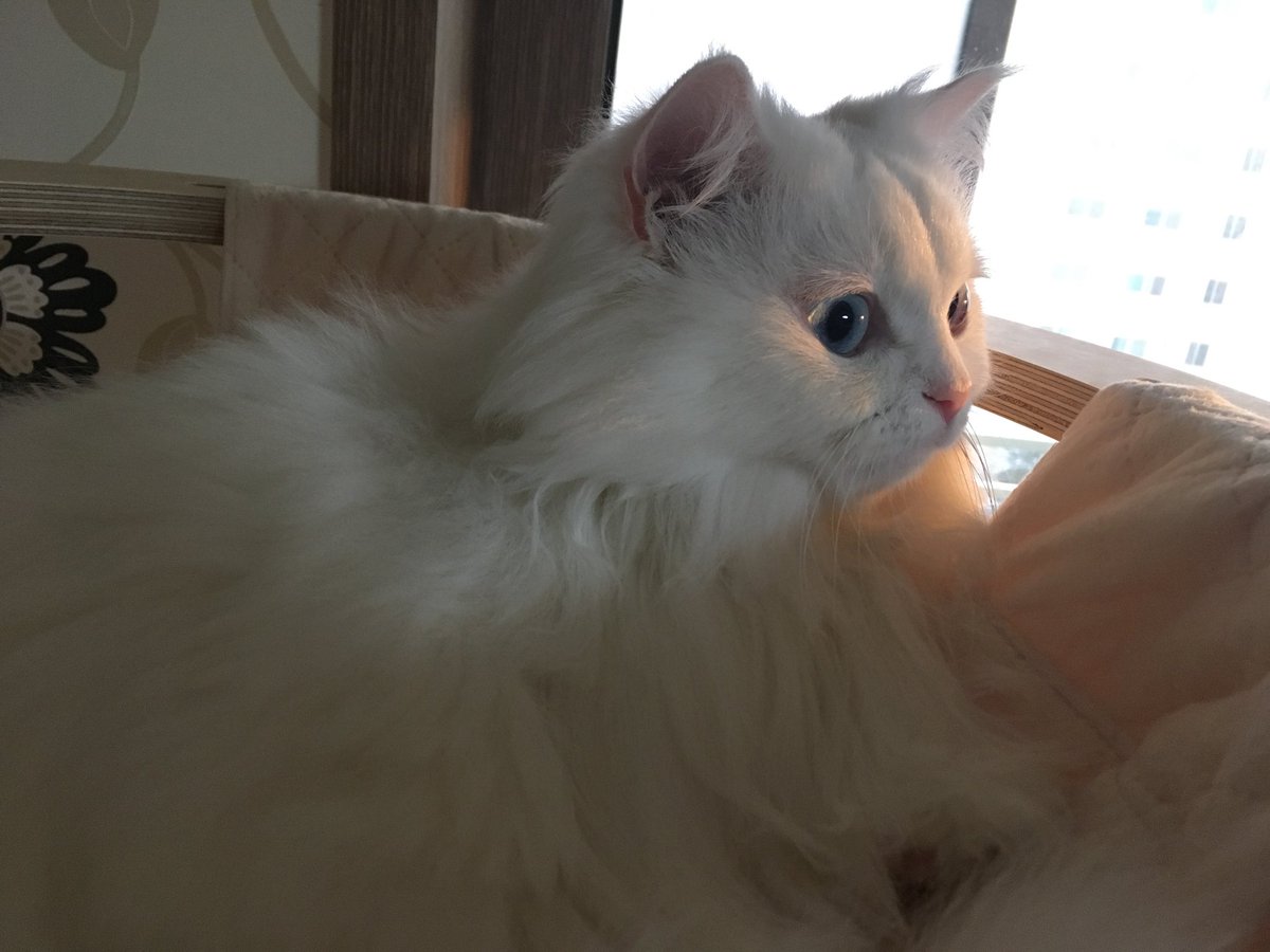 참 춥고 눈도 많이 오구