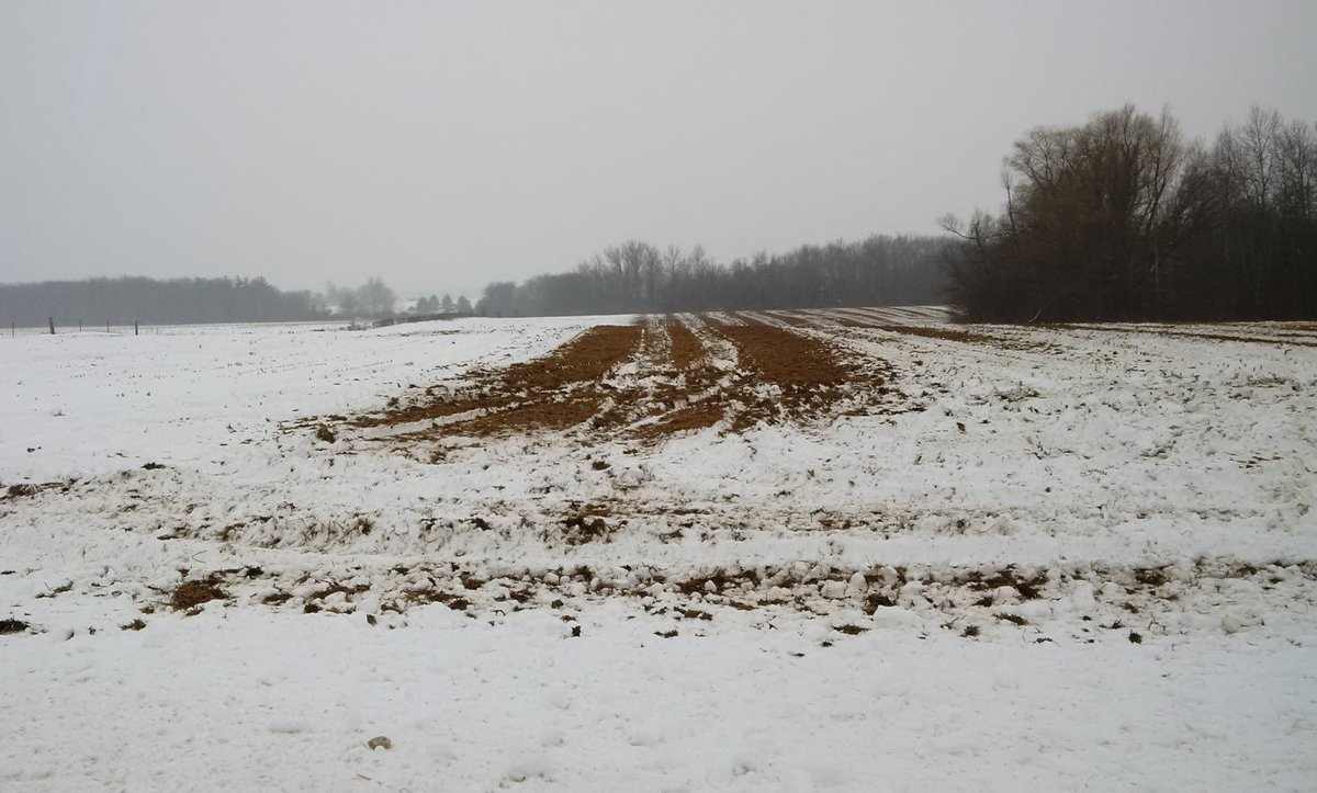 I was disappointed to come upon this yesterday, especially in light of the forecast. I thought we knew better? I know most do, but actions like this hurt us all in Ontario agriculture!