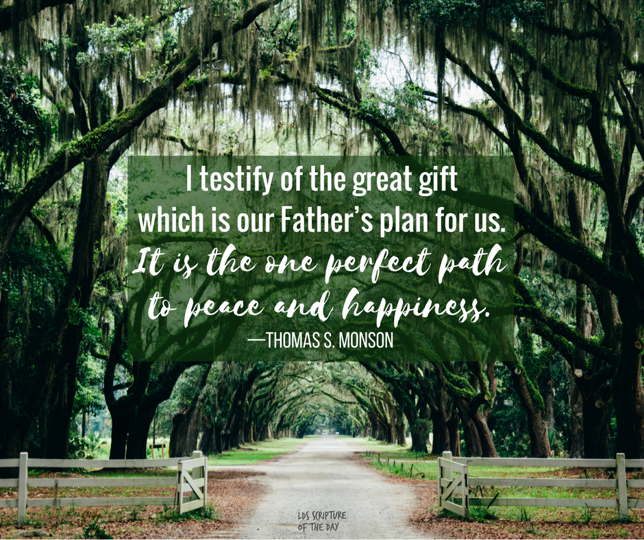 I testify of the great gift which is our Father’s plan for us. It is the one perfect path to peace and happiness.
—Thomas S. Monson
buff.ly/2F5jqNy
#sharegoodness #LDS #Mormon #thomassmonson
