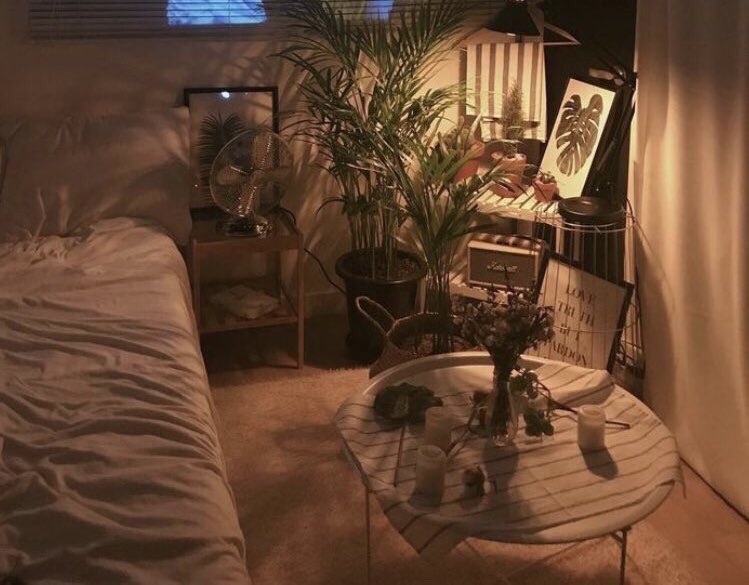 الليالي التي سهرتها، الساعات التي أمضيتها، دقائق اللعب التي حذفتها من أجل العلم لن تضيع سدا، و سترى ثمرة جهدك 🌟!