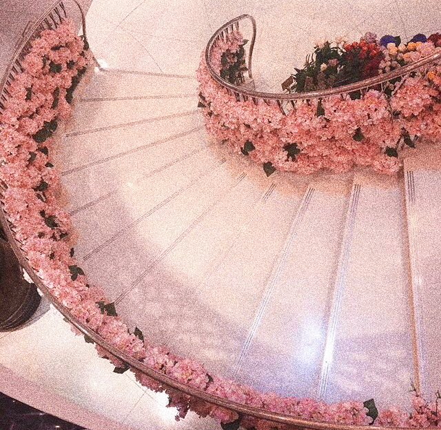 loonasoftie's tweet photo. :¨·.·¨:
 `·. https://t.co/CxMspVn6o6 https://t.co/Qumd9QGLbq