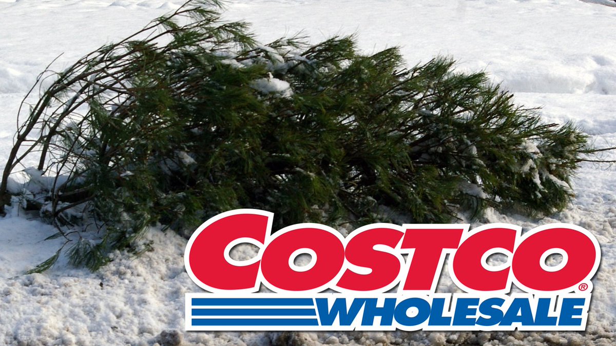 Woman returns dead Christmas tree to Costco and demands a full refund... in January bit.ly/2CZmXz1?utm_so… https://t.co/yG1ZM9Dlsg