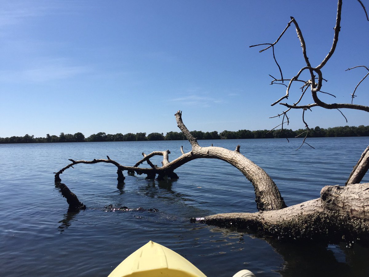 GeoViewBe's tweet photo. Too bad we couldn't bring our @ONAKcanoes to #chocohuital #Tapachula @llenatdechiapas @Sectur_Chiapas @SECTUR_mx @ibert https://t.co/wJdMuEXqTf