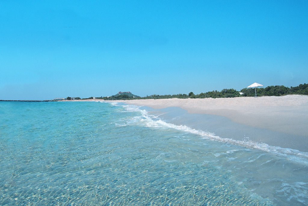 chaletskelibia tweet picture