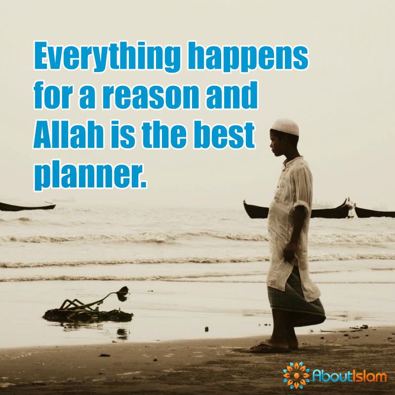 About Islam Everything Happens For A Reason Allahbestplanner Destiny T Co Io2w9c02i0 Twitter About Islam Everything Happens For A Reason Allahbestplanner Destiny T Co Io2w9c02i0 Twitter
